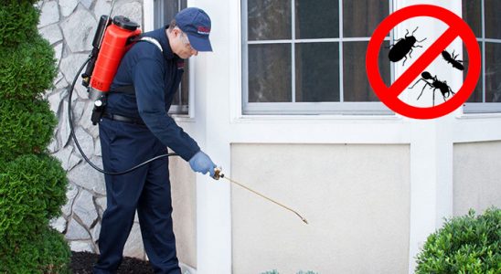Sinop Böcek İlaçlama böcek ilaçlama ve haşere kontrolü — ilaclama-tr.com